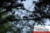 1542costaricabeachproperty4.JPG