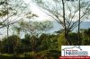 1542costaricabeachproperty6.JPG