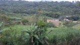 Lote ubicado en Naranjo en venta a 15min del centro de Palmares