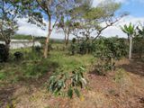lote de Paraiso - Cartago 