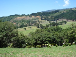 Vendo terreno de 7000m2