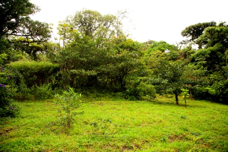 LOTE EN TURRUBARES