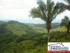 2301beachproperty5