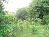 2414casacomercialpararestauranteenheredia14.JPG