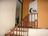 2692sanpedro10.JPG