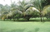 2743santacruzguanacaste18