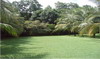 2743santacruzguanacaste19