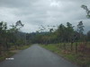 3309loteencahuita0