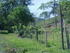 3328fincaenlagunas3.JPG