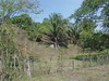 3328fincaenlagunas4.JPG