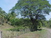 3328fincaenlagunas8.JPG