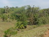3328fincaenlagunas9.JPG