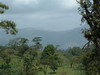 3334arenal5.JPG