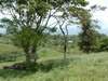 3334arenal6.JPG