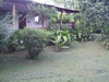 3334arenal9.JPG