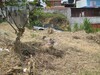 Lote en Ipis la mora