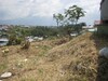3478lotebarato4.JPG