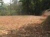 3488finca1