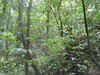 3488finca10