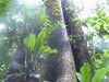 3488finca11