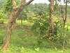 3488finca13