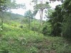 3488finca14