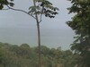 3488finca15
