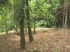 3488finca17