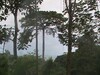 3488finca3