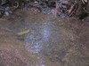 3488finca7
