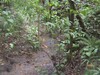 3488finca9