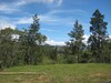 3491aguacaliente3.JPG