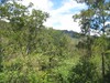 3491aguacaliente5.JPG
