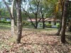 3504QUINTAENSANMATEO1.JPG