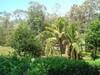 3504QUINTAENSANMATEO11.JPG