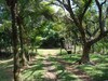 3504QUINTAENSANMATEO2.JPG