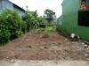 3615lotenepalmares.JPG