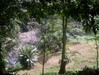3636loteensiquierres3.JPG