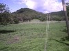 FINCA EN PLAYA PTO SOLEY pronto habr� marina