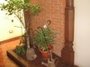 4658casaenescazu4