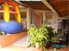 cod360005
