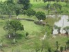 cod360201