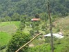 cod360203