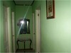 cod366205