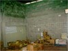 cod366305