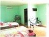 cod366806
