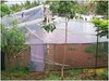 cod367303