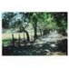 Finca 100% plana en  Guanacaste