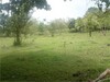 Linda Quinta en Pocora